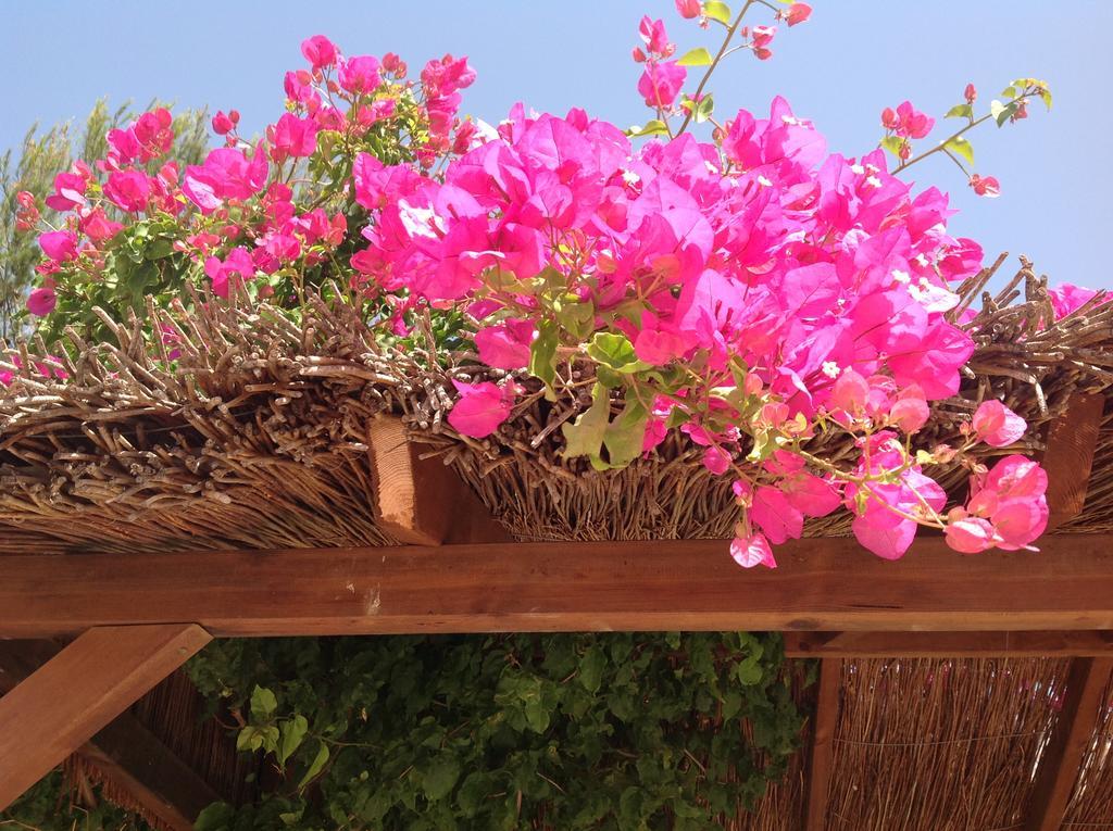 Finca Klara, Boutiquehotel - Apartment -Javea-Moraira- Бенитачель Экстерьер фото